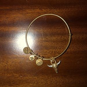 Alex and ani bracelet